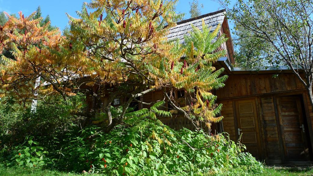 Woodenhouse Maramures Vişeu de Sus Dış mekan fotoğraf