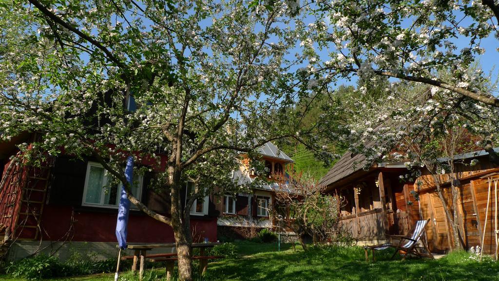 Woodenhouse Maramures Vişeu de Sus Dış mekan fotoğraf