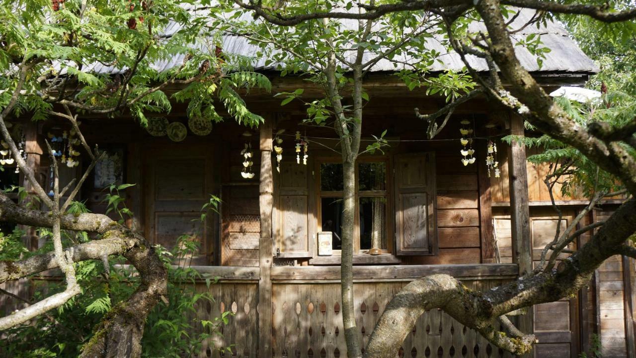 Woodenhouse Maramures Vişeu de Sus Dış mekan fotoğraf